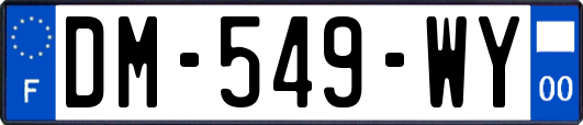 DM-549-WY