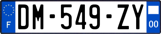 DM-549-ZY