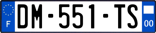 DM-551-TS