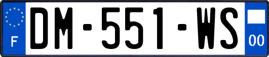 DM-551-WS