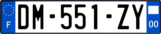 DM-551-ZY