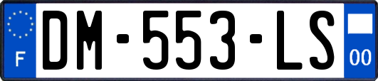 DM-553-LS