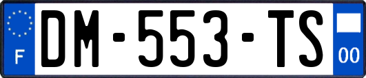 DM-553-TS