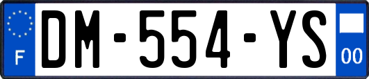 DM-554-YS