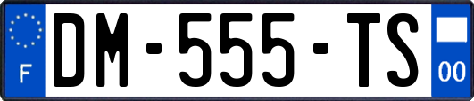 DM-555-TS
