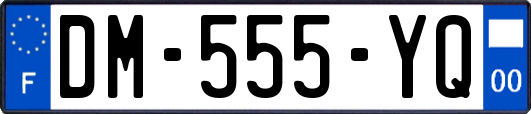 DM-555-YQ