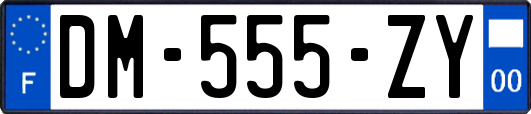 DM-555-ZY