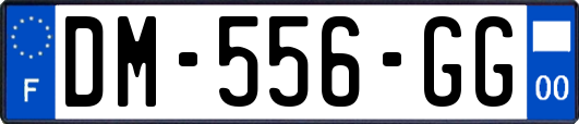 DM-556-GG