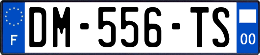 DM-556-TS