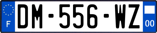 DM-556-WZ