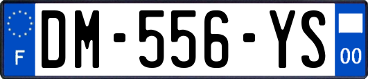 DM-556-YS