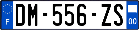 DM-556-ZS