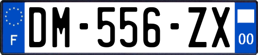 DM-556-ZX