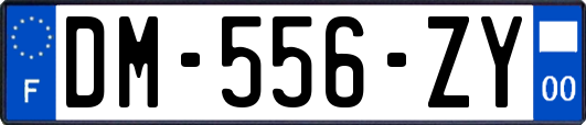 DM-556-ZY