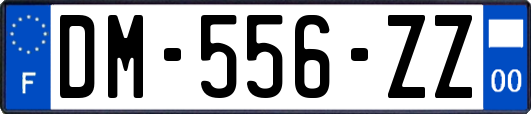 DM-556-ZZ