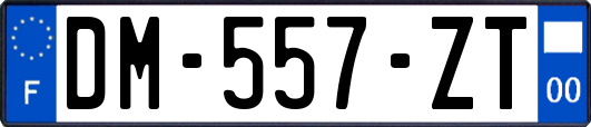 DM-557-ZT