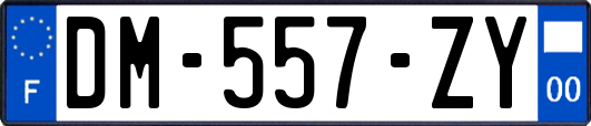 DM-557-ZY