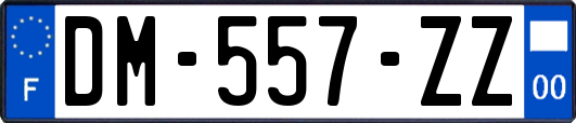 DM-557-ZZ