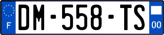 DM-558-TS