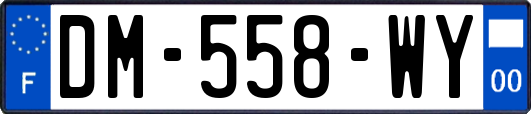 DM-558-WY