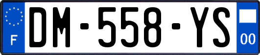 DM-558-YS