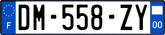 DM-558-ZY