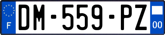 DM-559-PZ