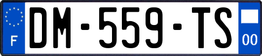 DM-559-TS