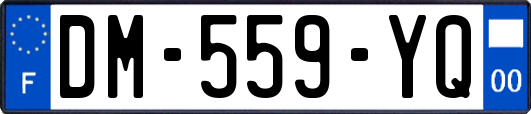 DM-559-YQ