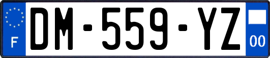 DM-559-YZ