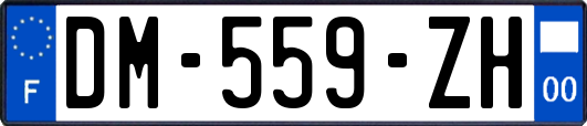 DM-559-ZH