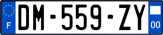 DM-559-ZY