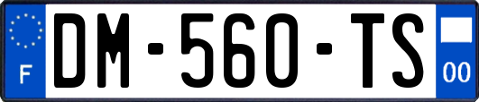 DM-560-TS