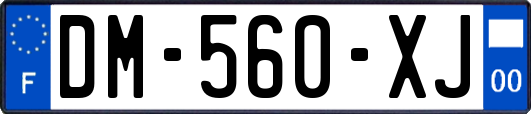 DM-560-XJ