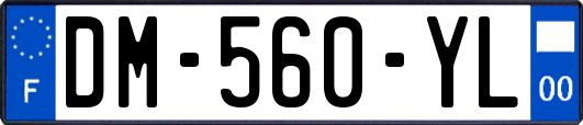 DM-560-YL