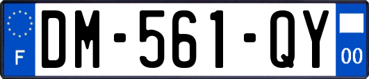 DM-561-QY