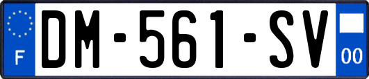 DM-561-SV