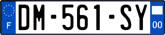 DM-561-SY