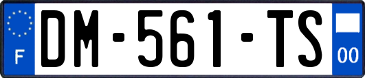 DM-561-TS