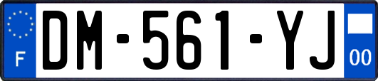 DM-561-YJ