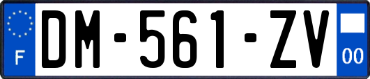 DM-561-ZV