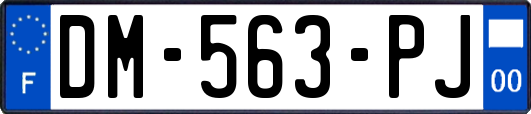 DM-563-PJ