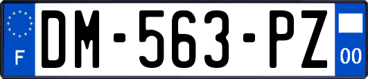 DM-563-PZ