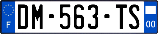 DM-563-TS