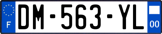 DM-563-YL