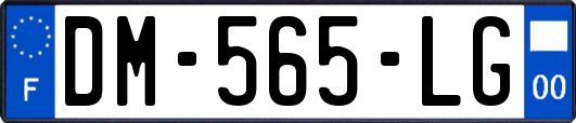 DM-565-LG