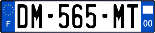 DM-565-MT