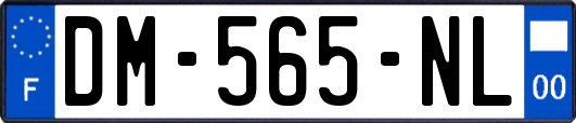 DM-565-NL