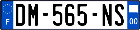DM-565-NS