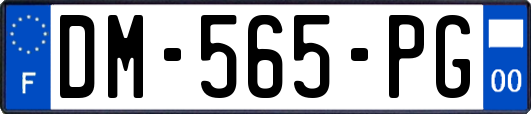 DM-565-PG